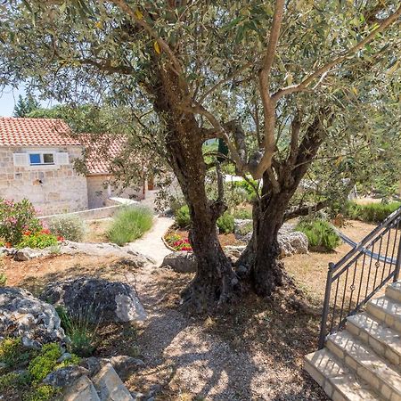 Olive Garden Apartment Ston Esterno foto