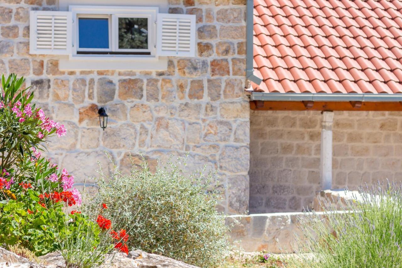 Olive Garden Apartment Ston Esterno foto