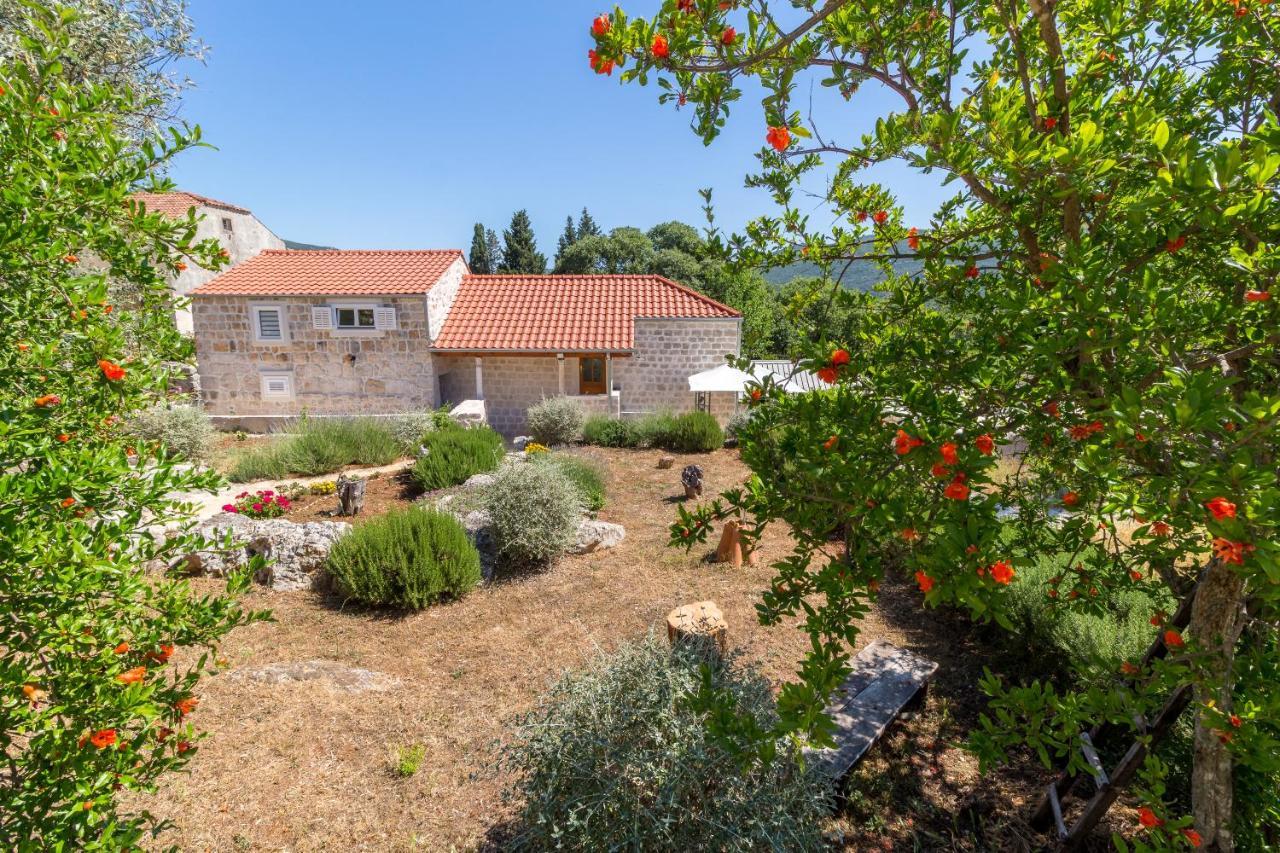 Olive Garden Apartment Ston Esterno foto